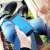 Internal Risks Are Overtaking External Cyber Threats